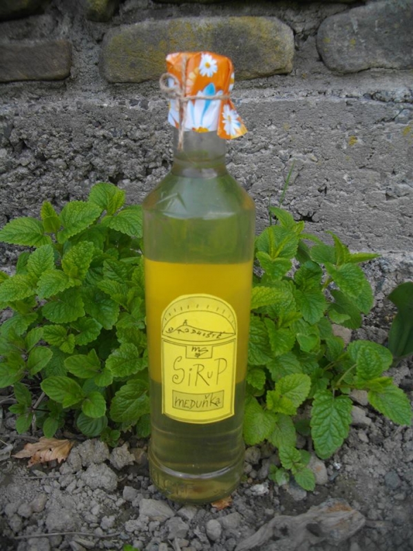 Meduňkový sirup